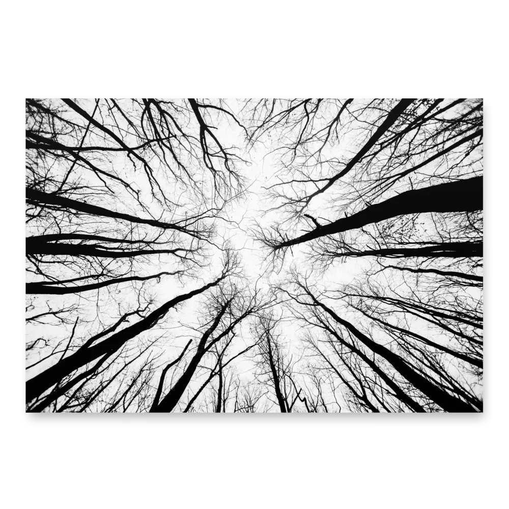 Surreal Black and White Wrapping Paper product image (3)