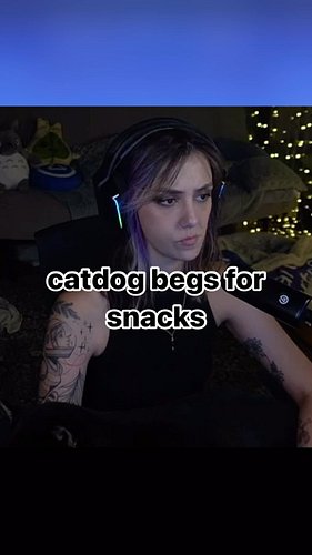 sometimes we are blessed with my dog/cat on stream, but he always begs for snacks
#shibainu #twitchclips #blackandtanshiba #d...