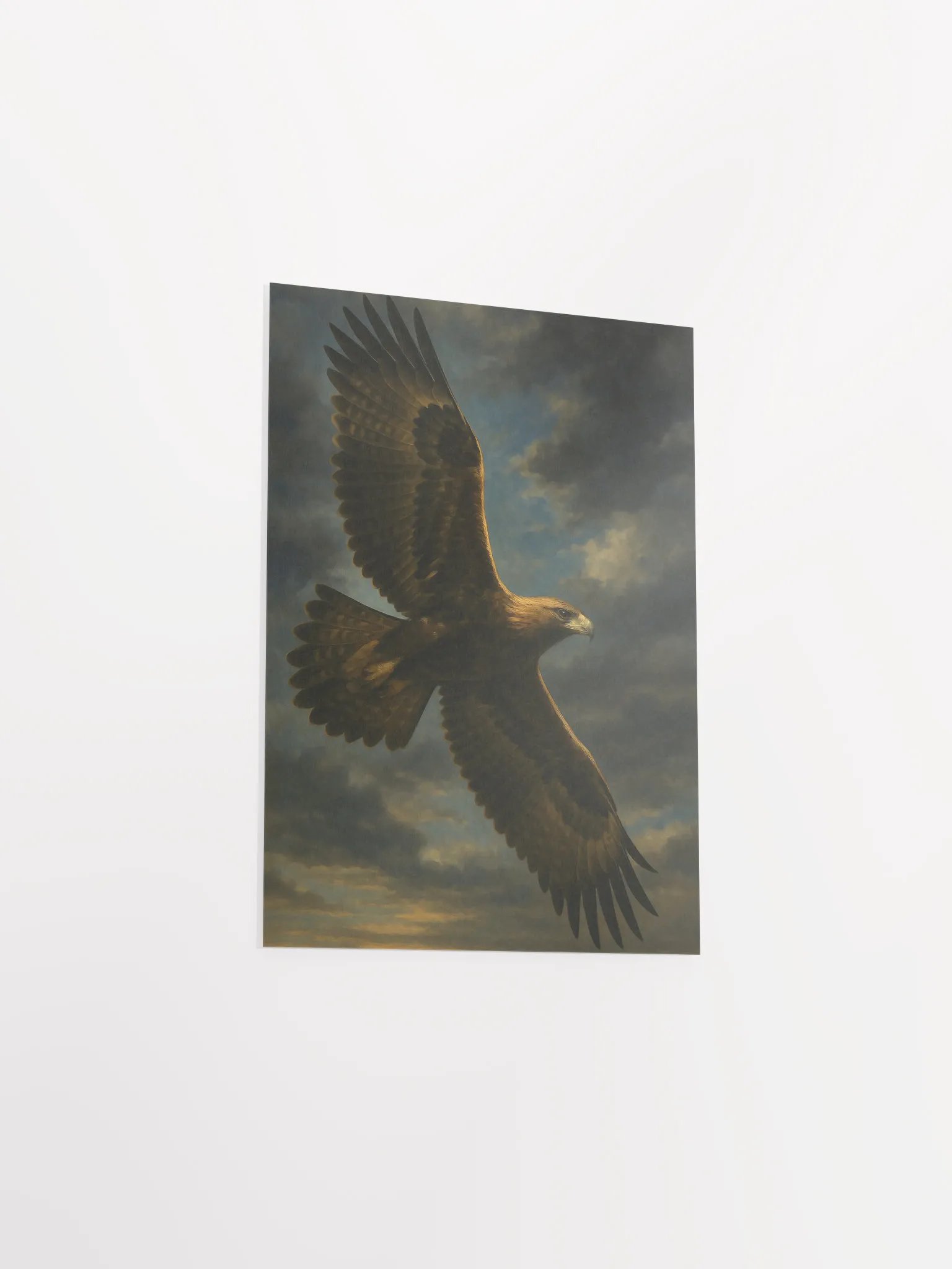 Wedge tailed eagle product image (9)