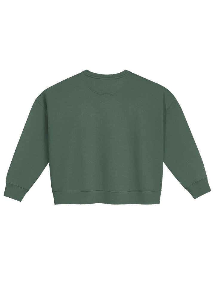PORCH LORE DEVAN ORGANIC CREW NECK SWEATSHIRT product image (2)