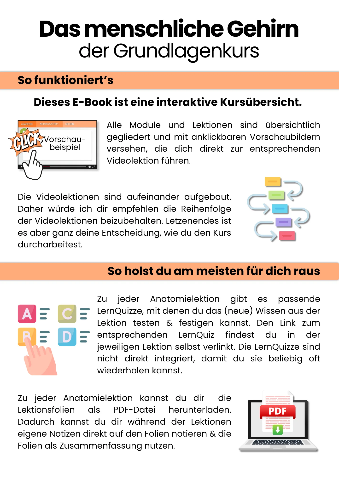 Das Gehirn | der Grundlagenkurs product image (3)