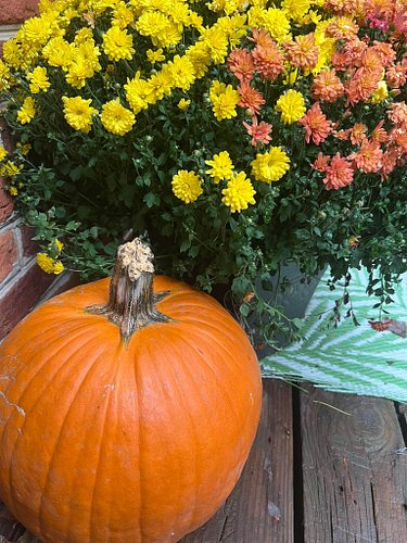 And just like that as if on cue, the seasons change. It happens miraculously every year. The timing is always “right on”! The...