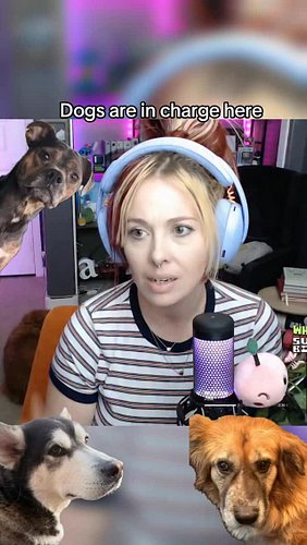 They make the rules, don’t know what to tell you #twitch #briespawn #funny #dogsofinstagram #explorepage