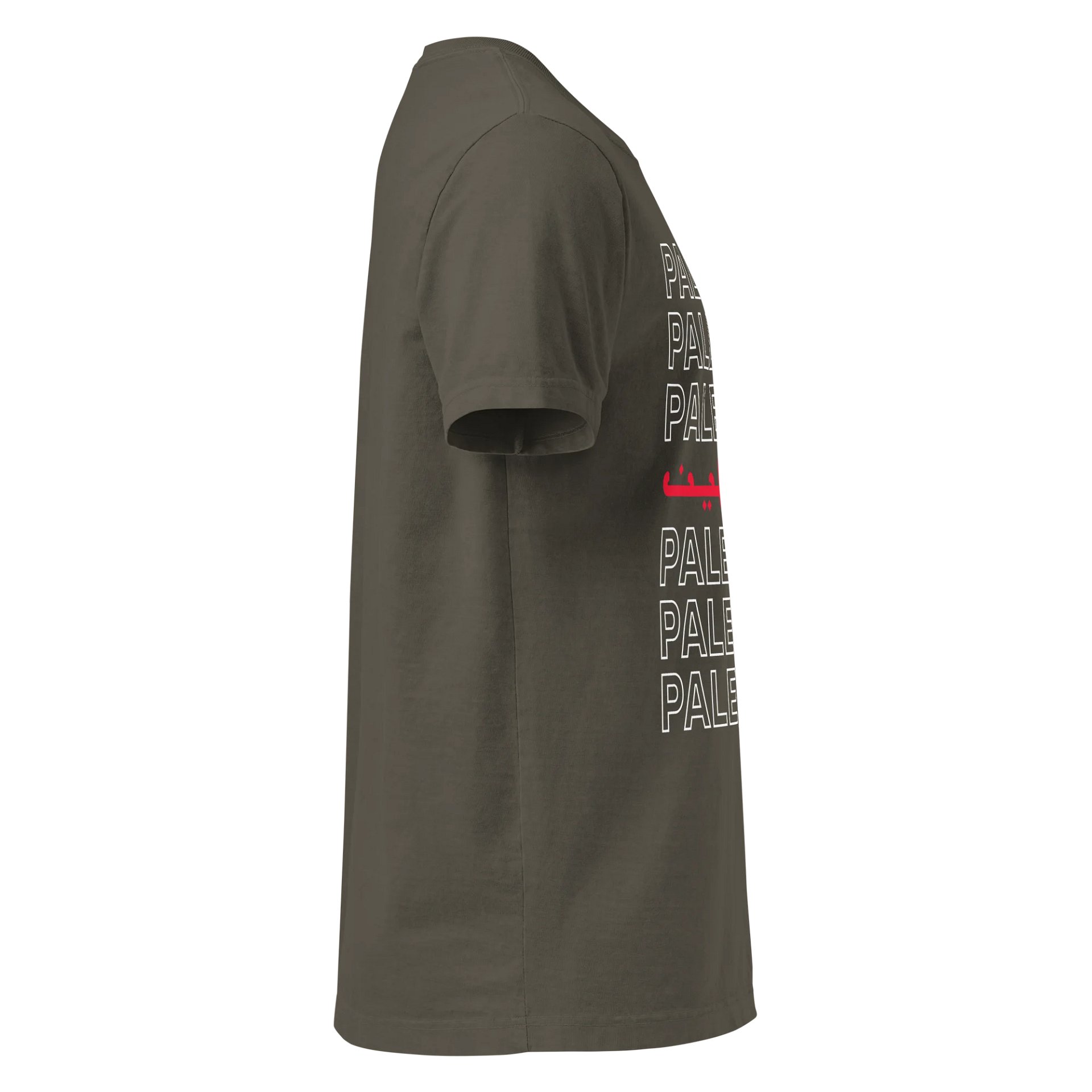 Palestine Oversized Unisex T-shirt product image (8)