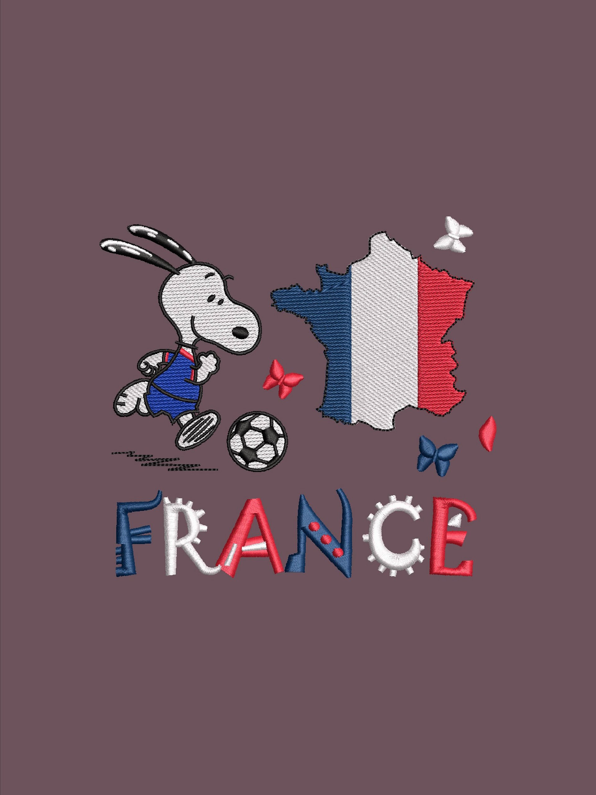 FIFA X TEAMS FRANCE product image (1)
