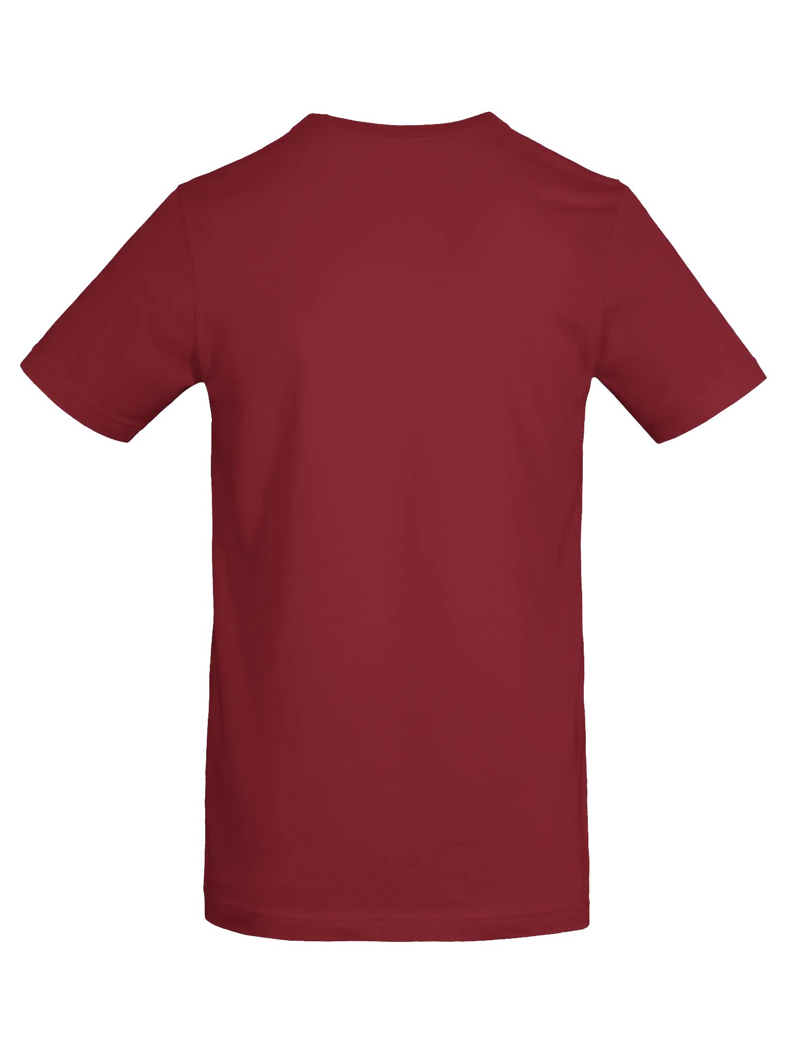Asexual Queer as Folk big print tee product image (8)