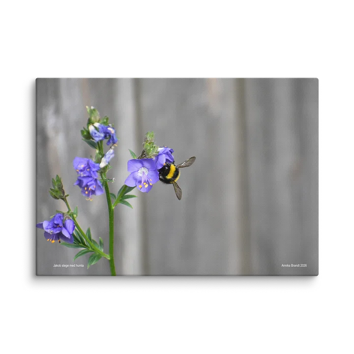 Canvas: Jakobs stege med humla product image (2)