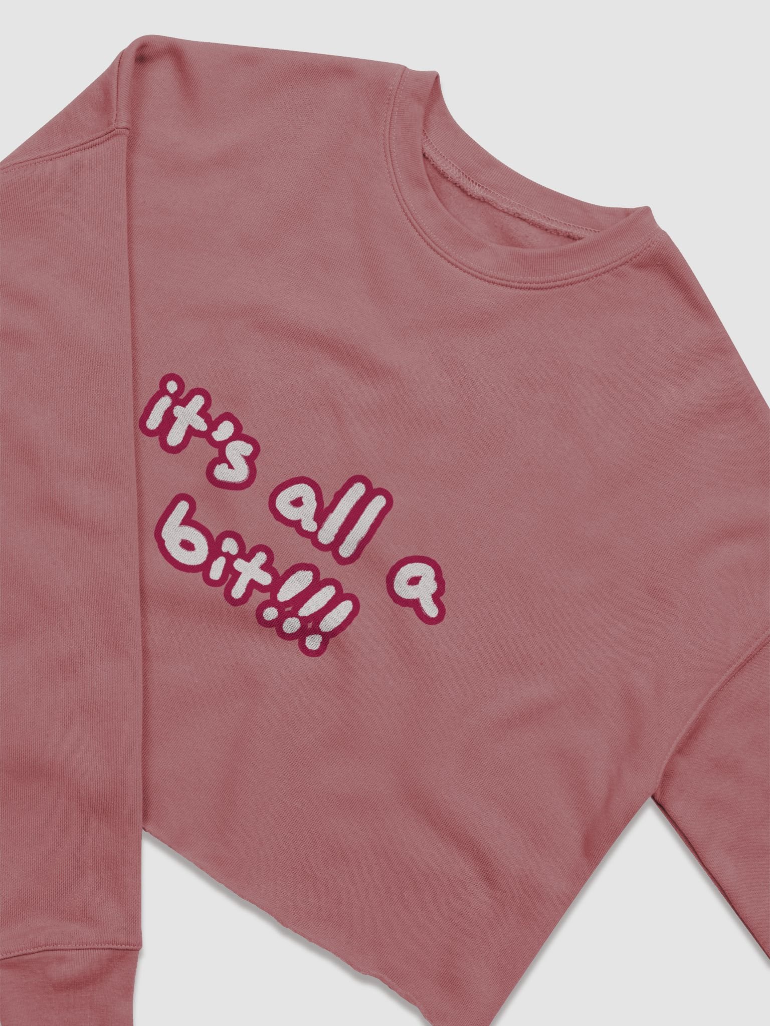 “It’s all a bit!!!” (sm. lined design, #A6073C) Women's Fleece Crop Sweatshirt product image (25)