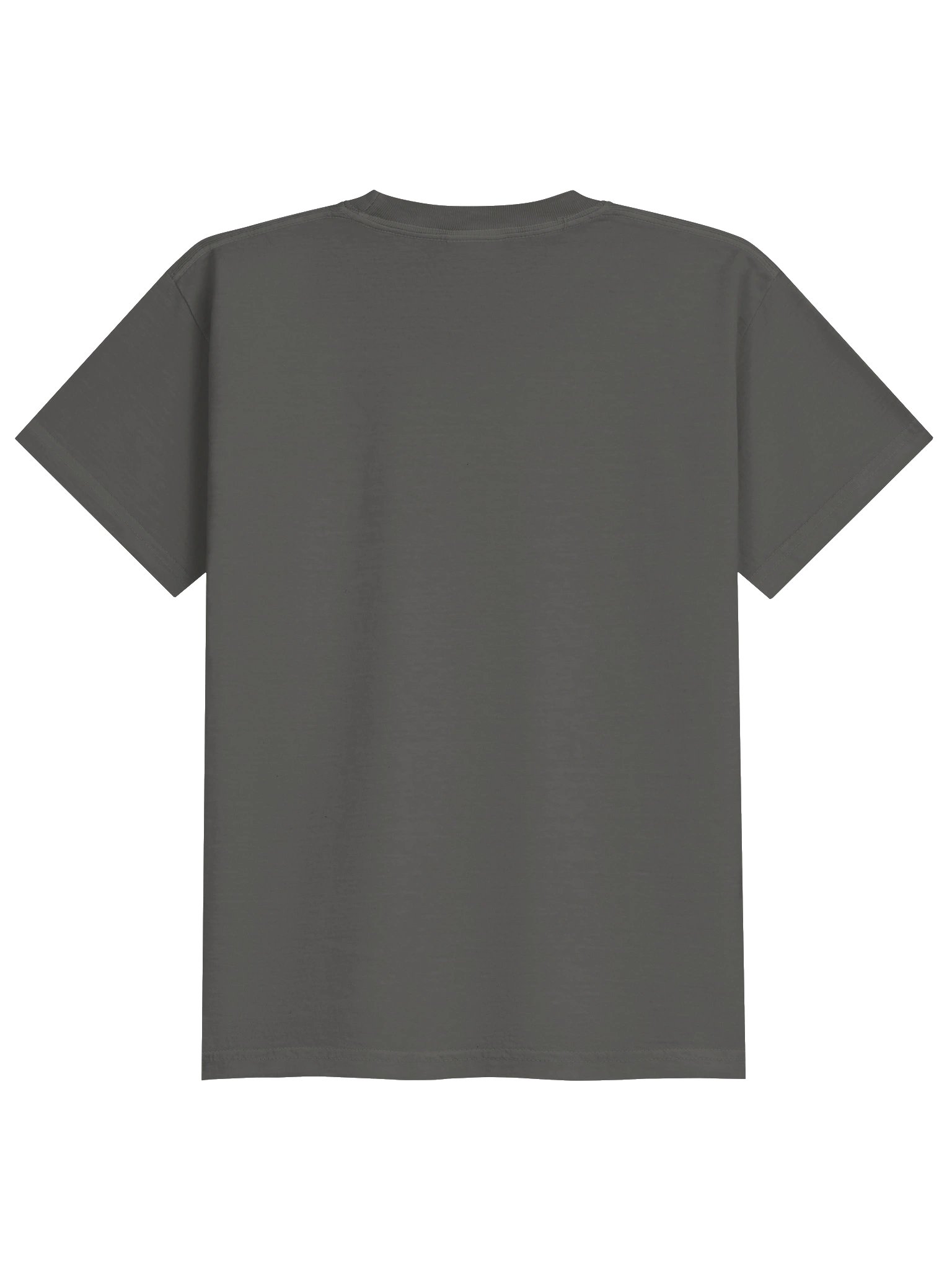 North Stanly YOUTH tee product image (5)