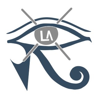 LadyAmari 