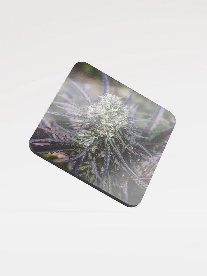 Royal Purple Cultivated Coaster product image (1)