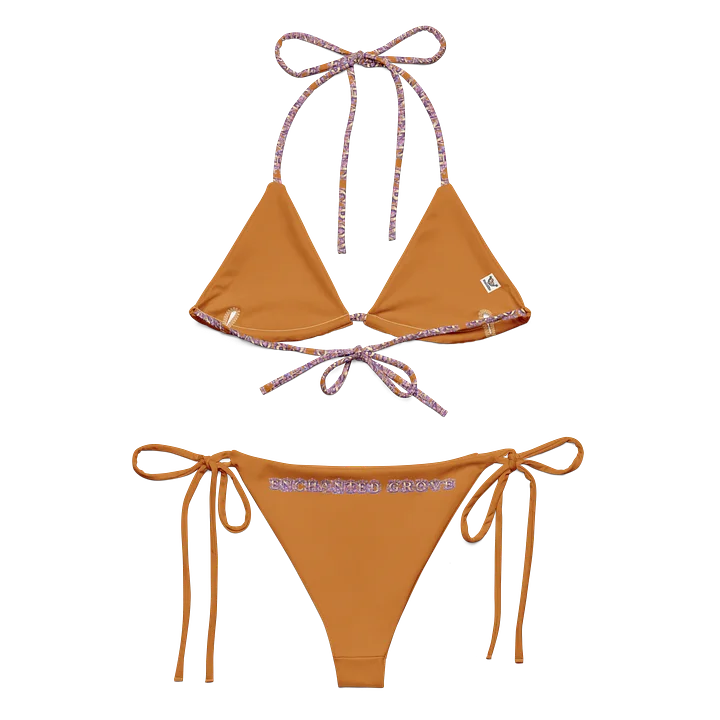 Kingdom Cartographer Bikini Set product image (1)