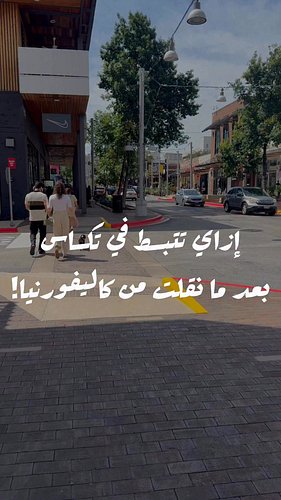 لعنة كاليفورنيا 😅