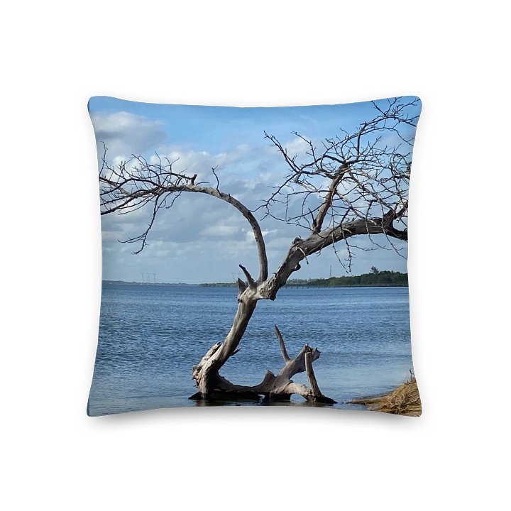 Twisted Tranquility Decorative Pillow product image (1)