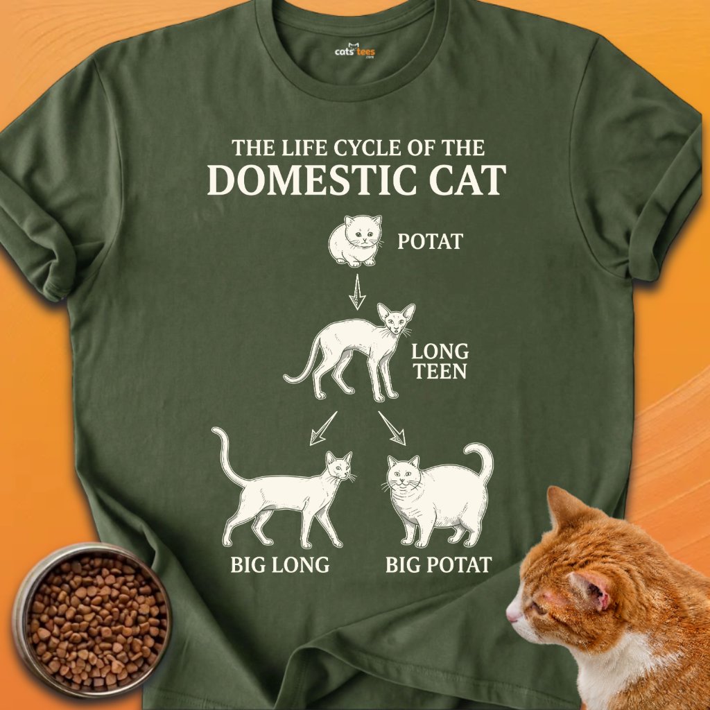 Domestic Cat product image (15)