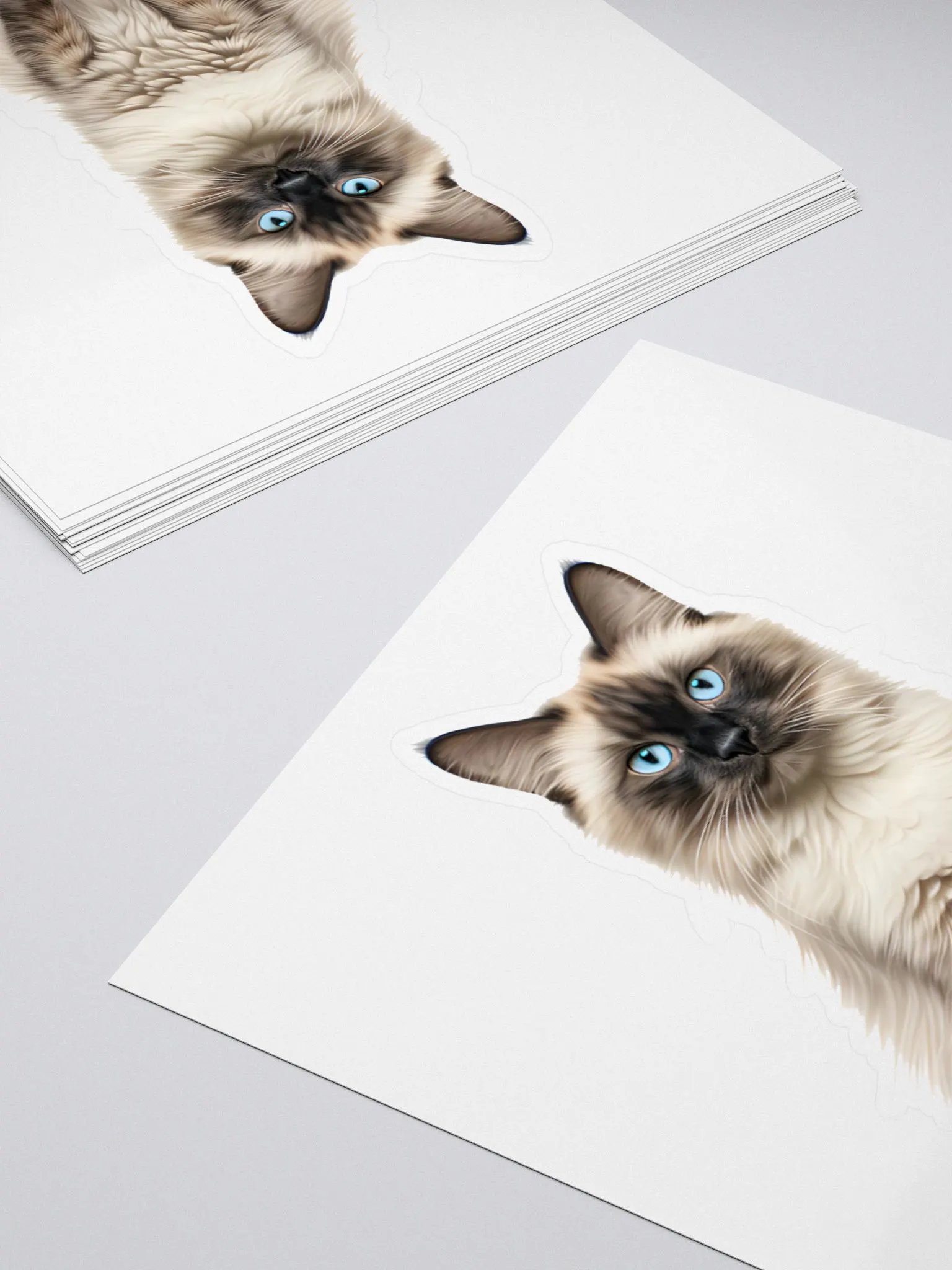 Rolay Ragdoll Cat Sticker product image (4)