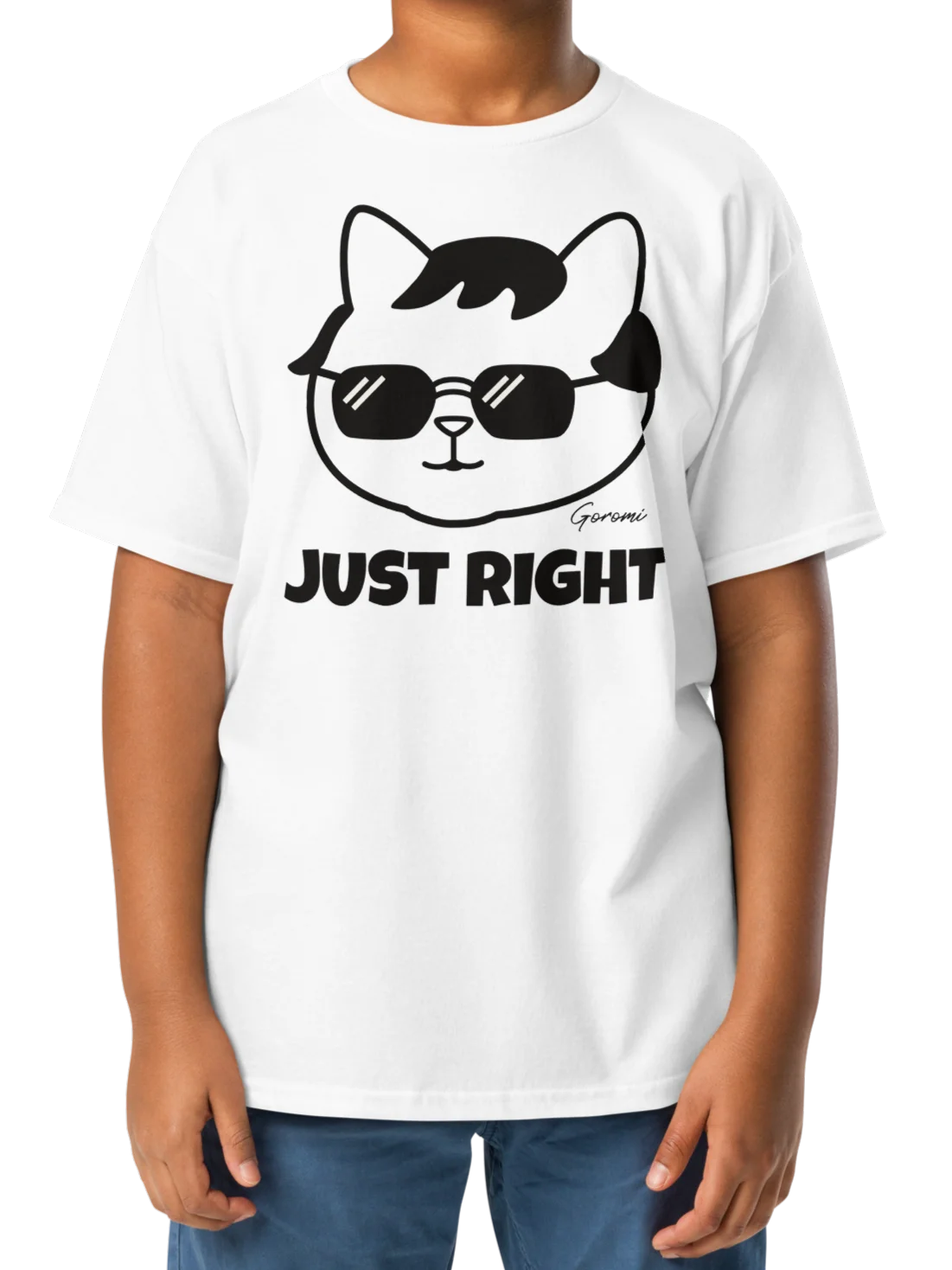 Goromi the Cat (JUST RIGHT) - Unisex Youth Heavyweight T-shirt product image (2)