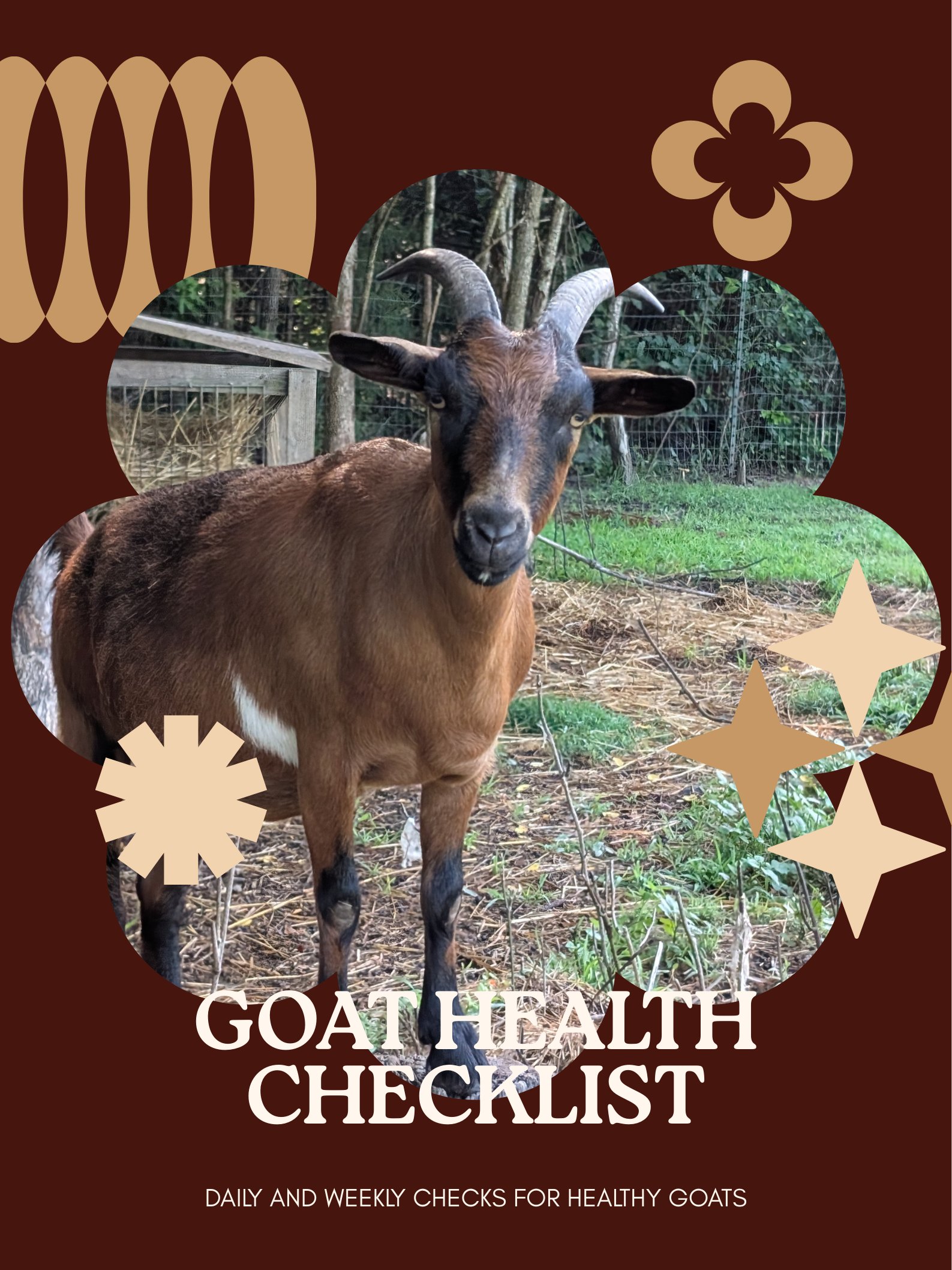 Goat Health Checklist product image (1)