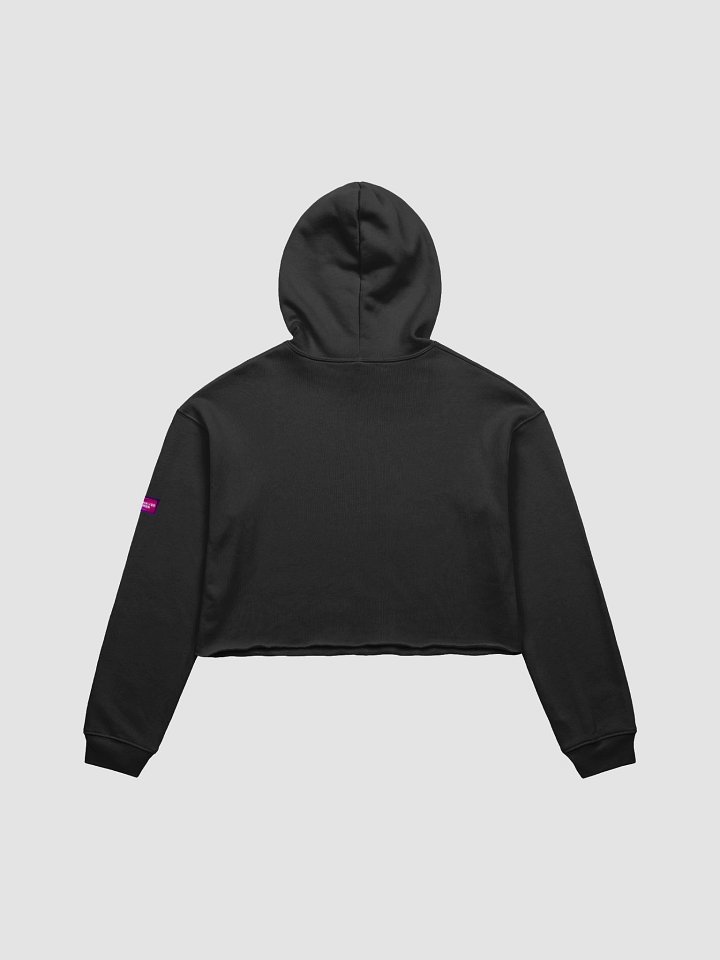 Misbehaving Pride 2025 - Crop Hoodie product image (2)