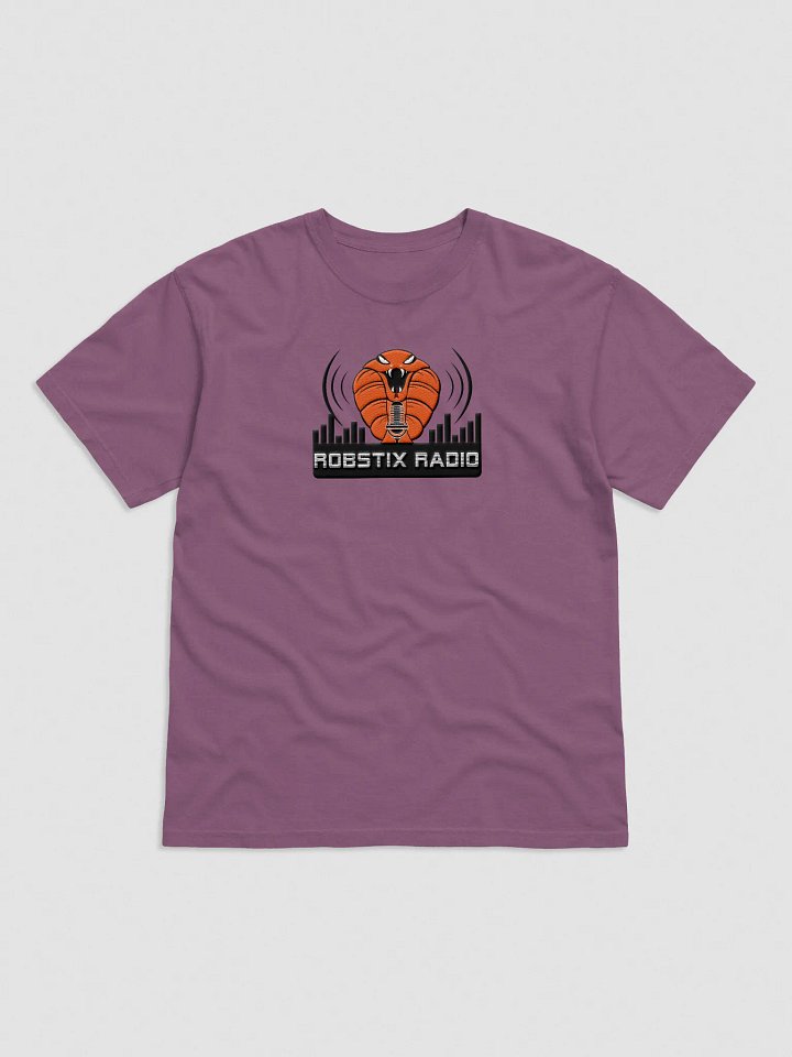 Robstix Radio T SHIRT GREY Embroidered product image (6)