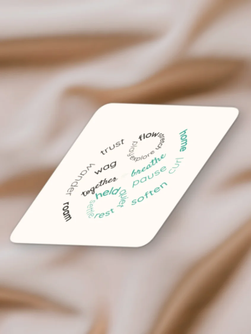 Gentle Reset Bundle product image (5)