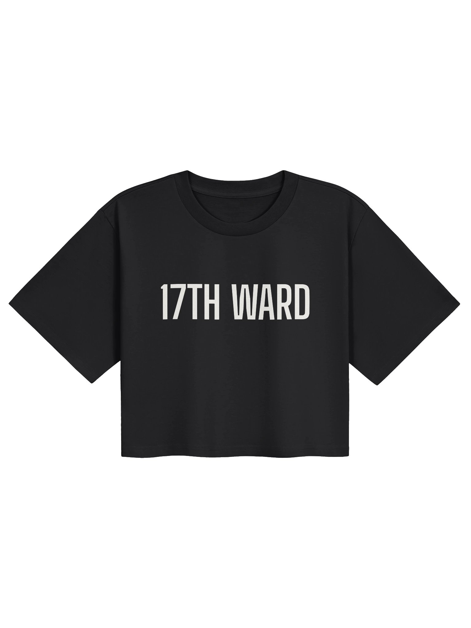 NEW ORLEANS 17TH WARD WOMEN'S CROP TOP product image (1)