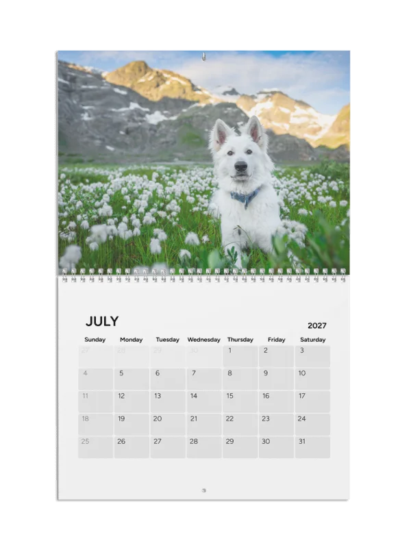 Lil Rasta Calendar 2027 product image (10)