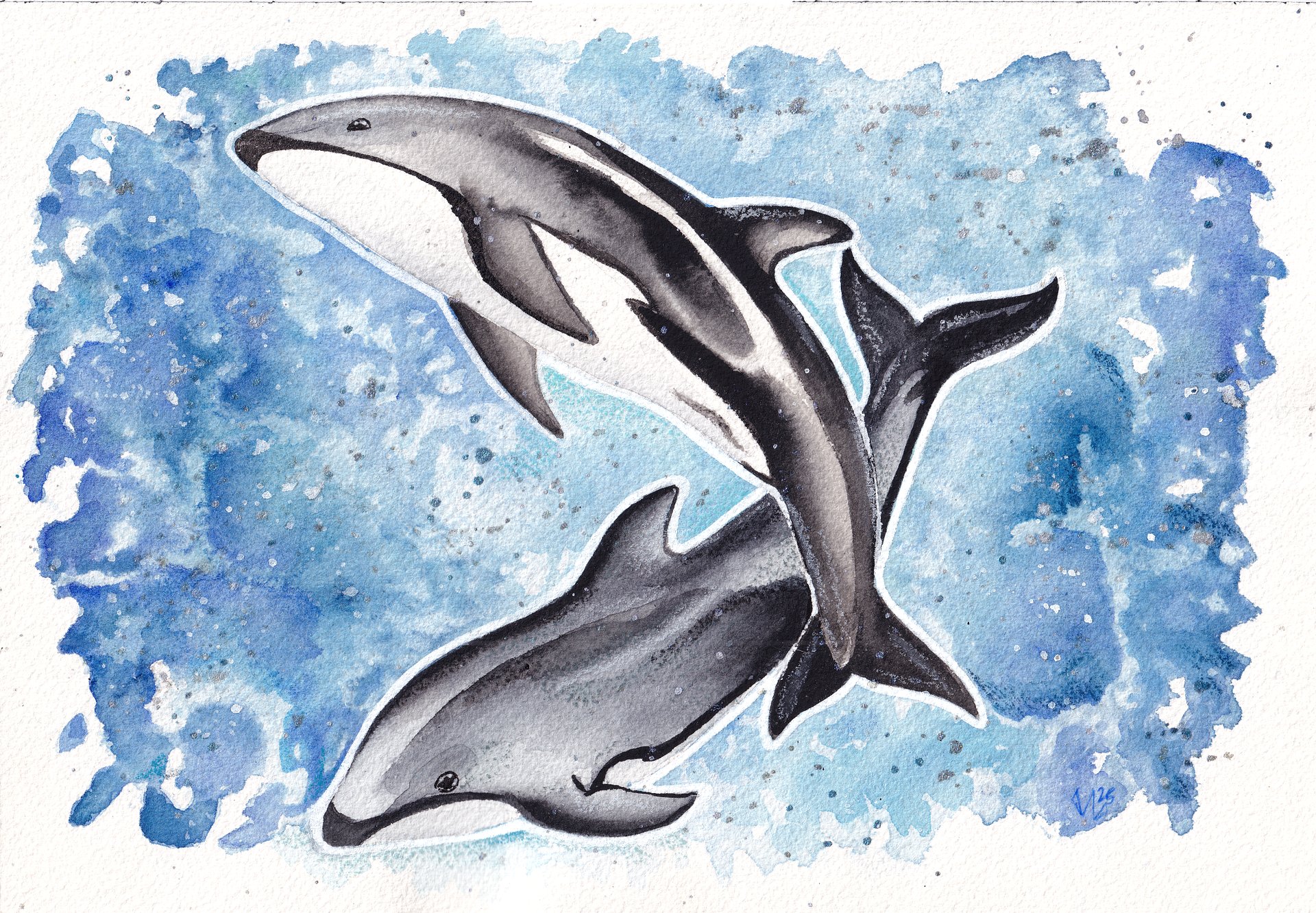 Pacific Whitesided Dolphin Watercolor product image (1)