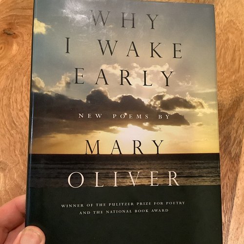 Sunday Morning With a Good Book Recommendation 🌞📙

Why I Wake Early 
Poems by Mary Oliver

Why I Wake Early

Hello, sun in my...
