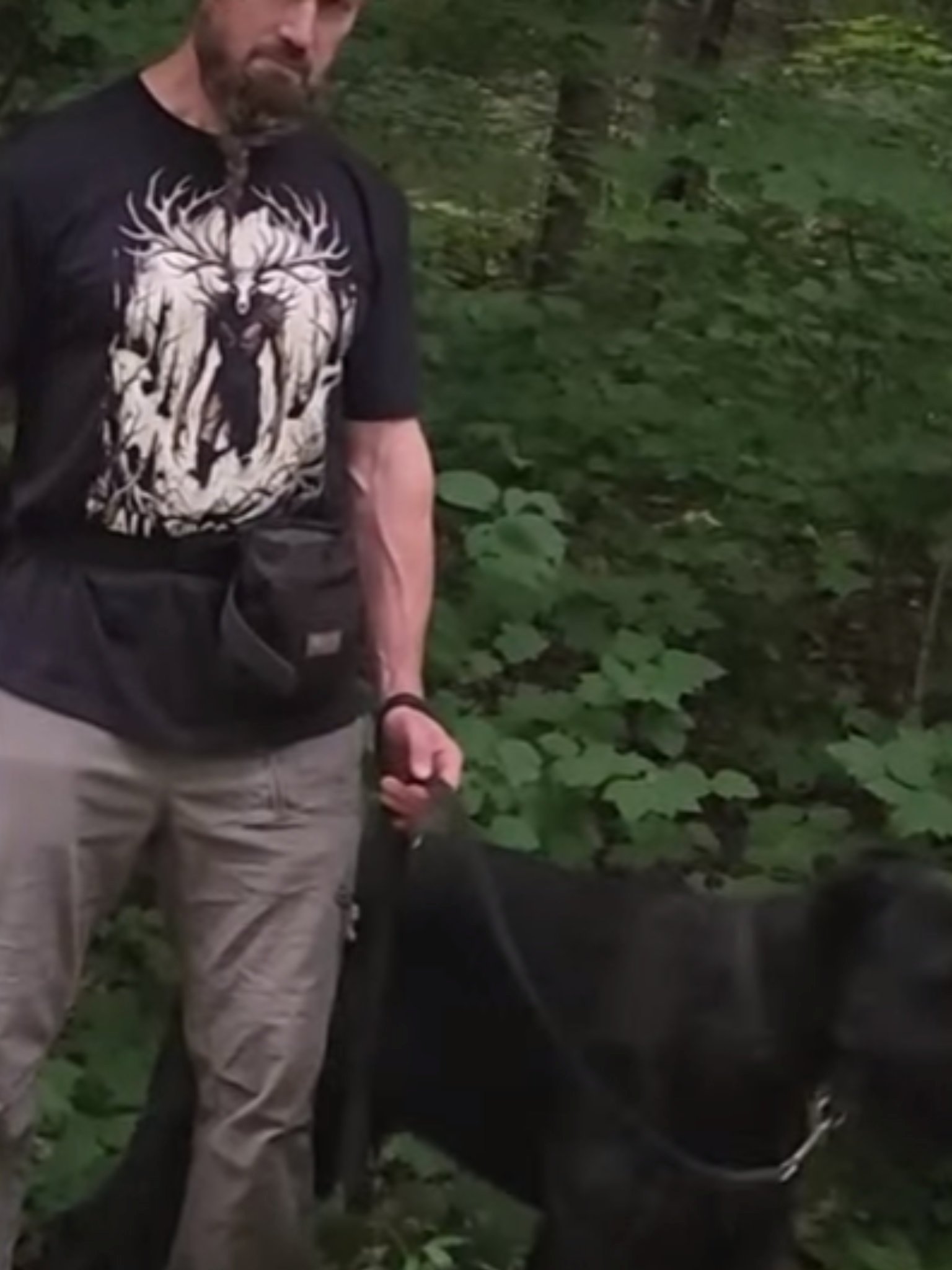 The Old Woods T-Shirt product image (5)