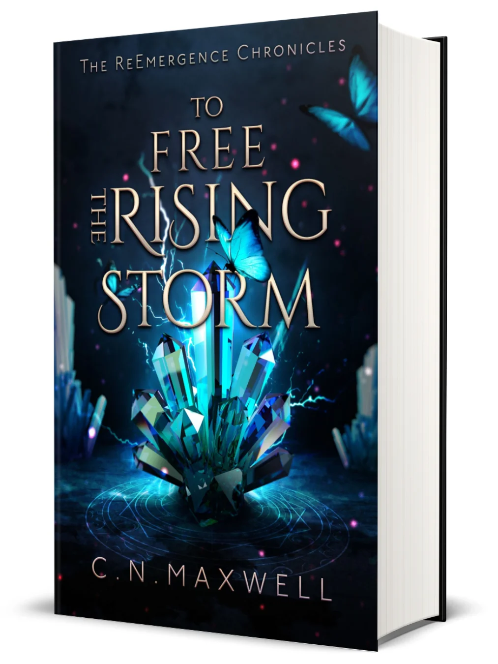 Signed Hardback To Free the Rising Storm product image (2)