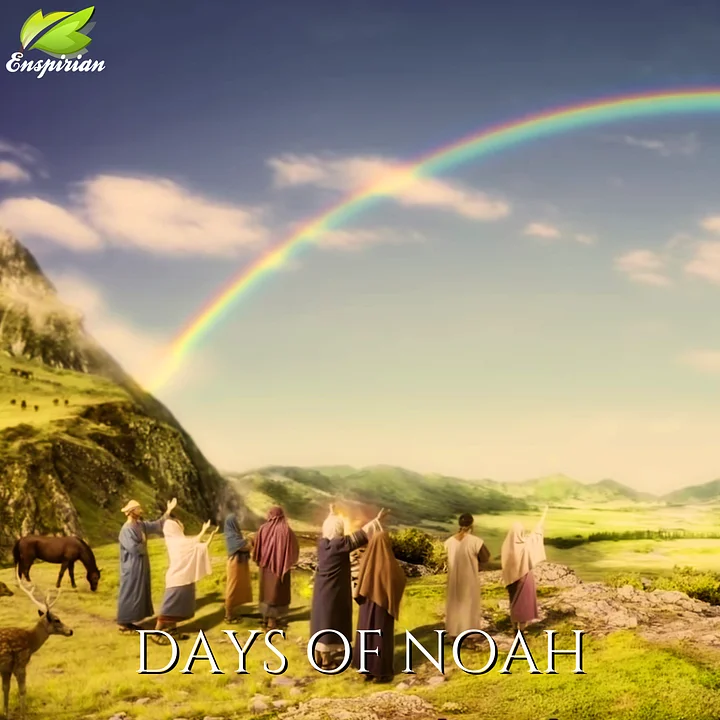 Days of Noah product image (1)