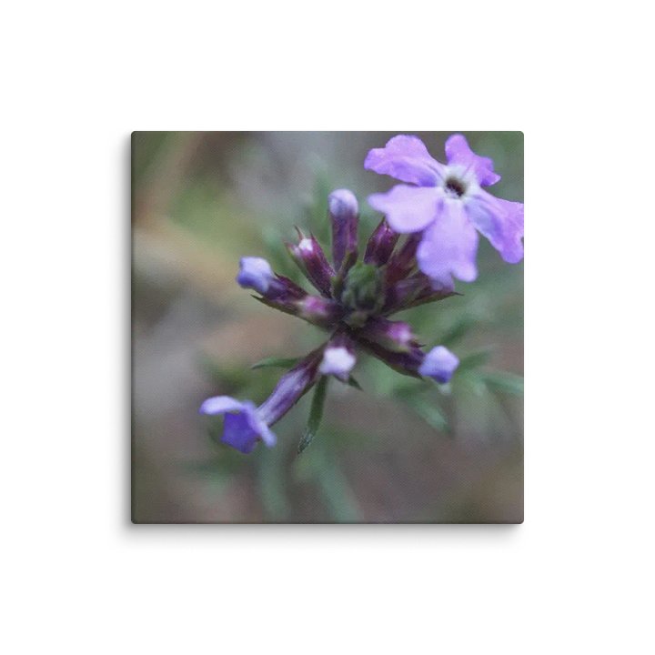 Flower Canvas product image (2)