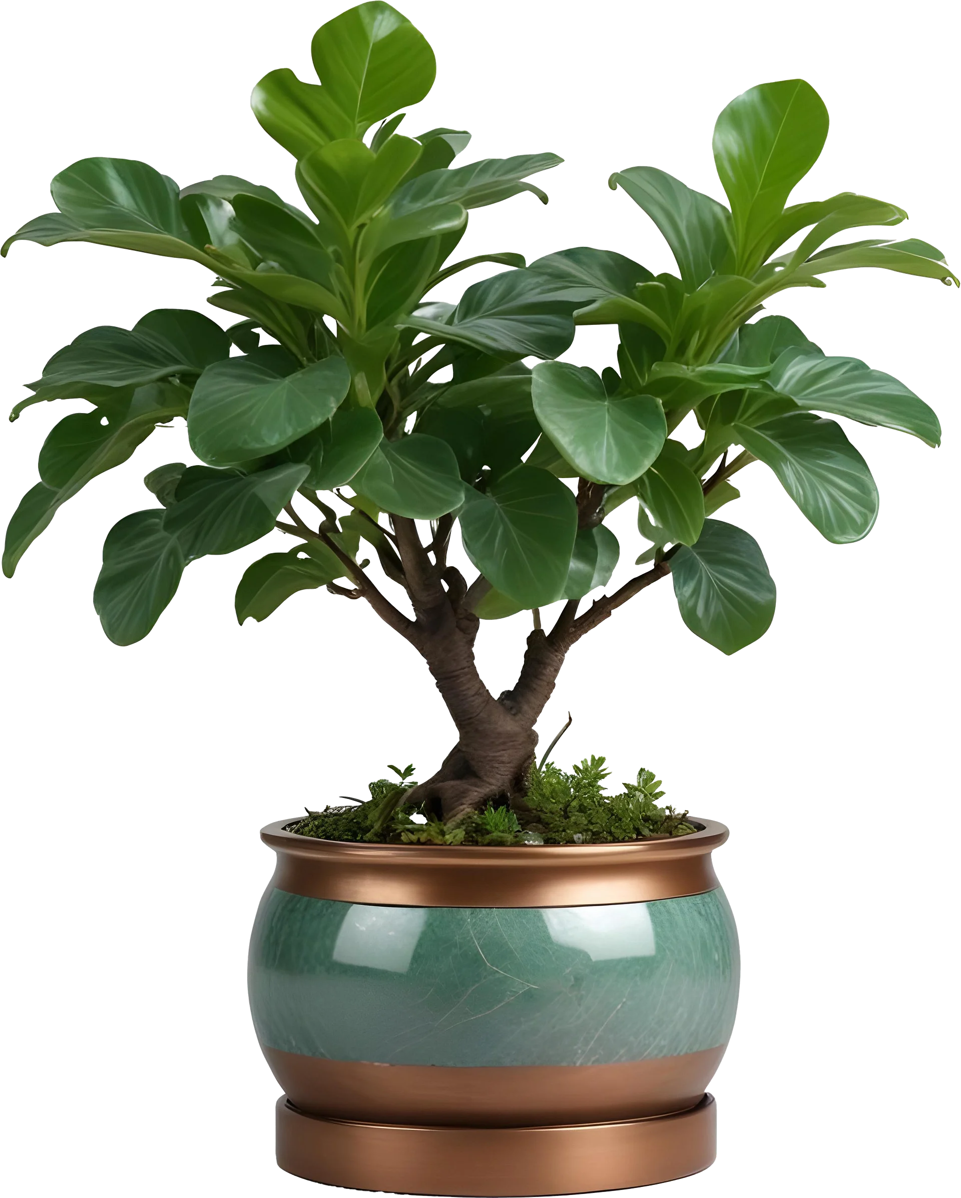 Jade Signature – Copper-Trimmed Planter PNG product image (1)