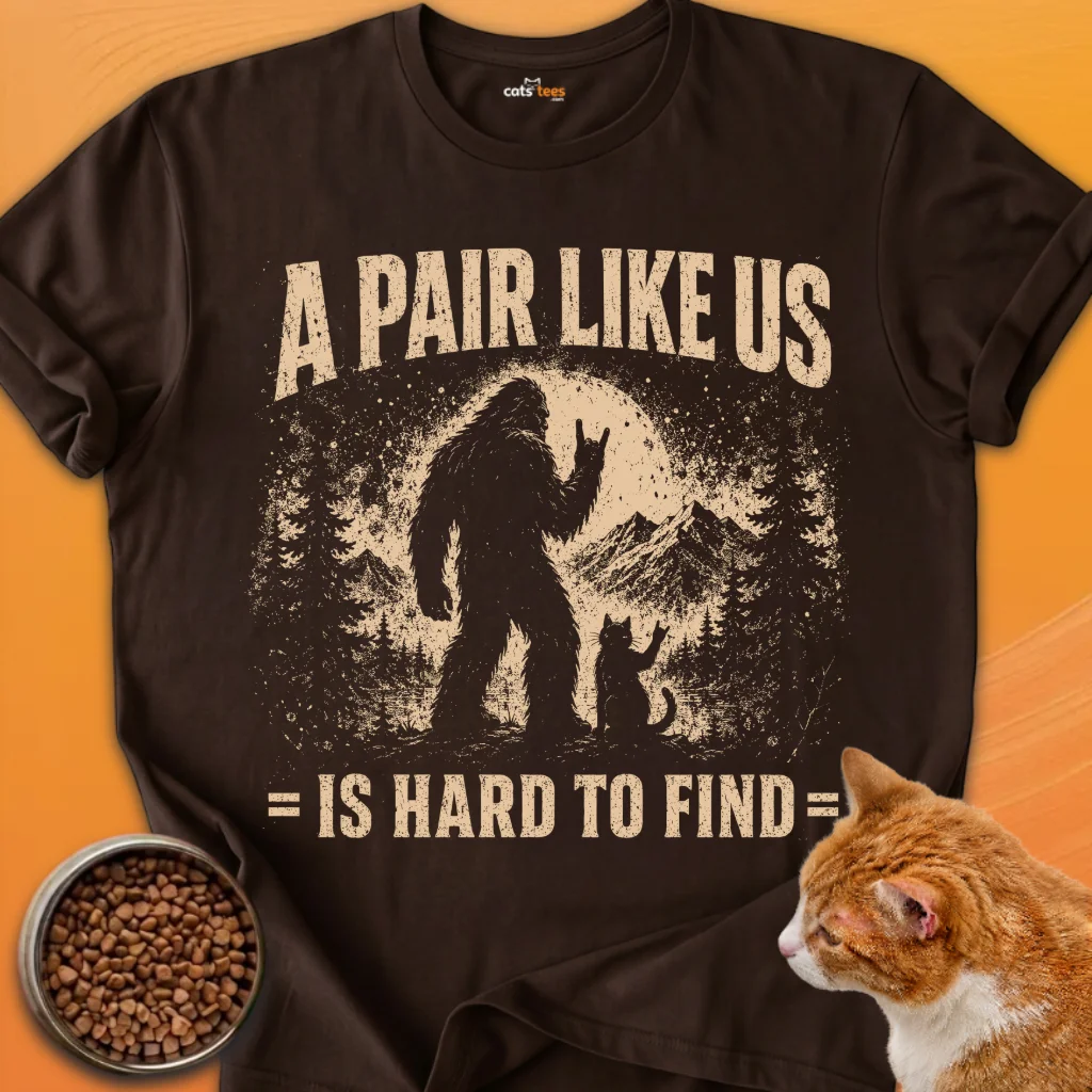 A Pair Like Us product image (9)