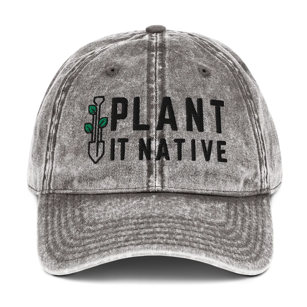 Dad Hat product image (1)