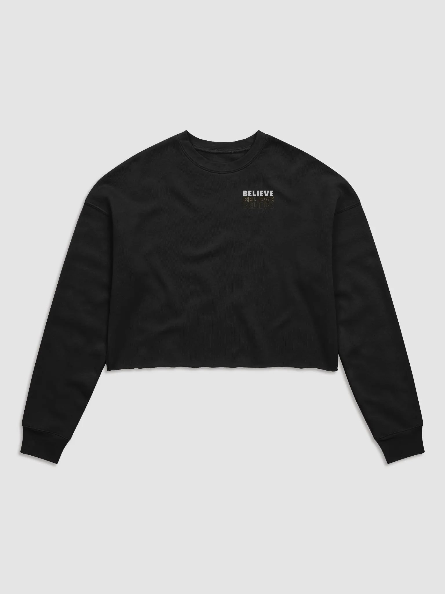 Believe Champion Crop Sweater product image (1)