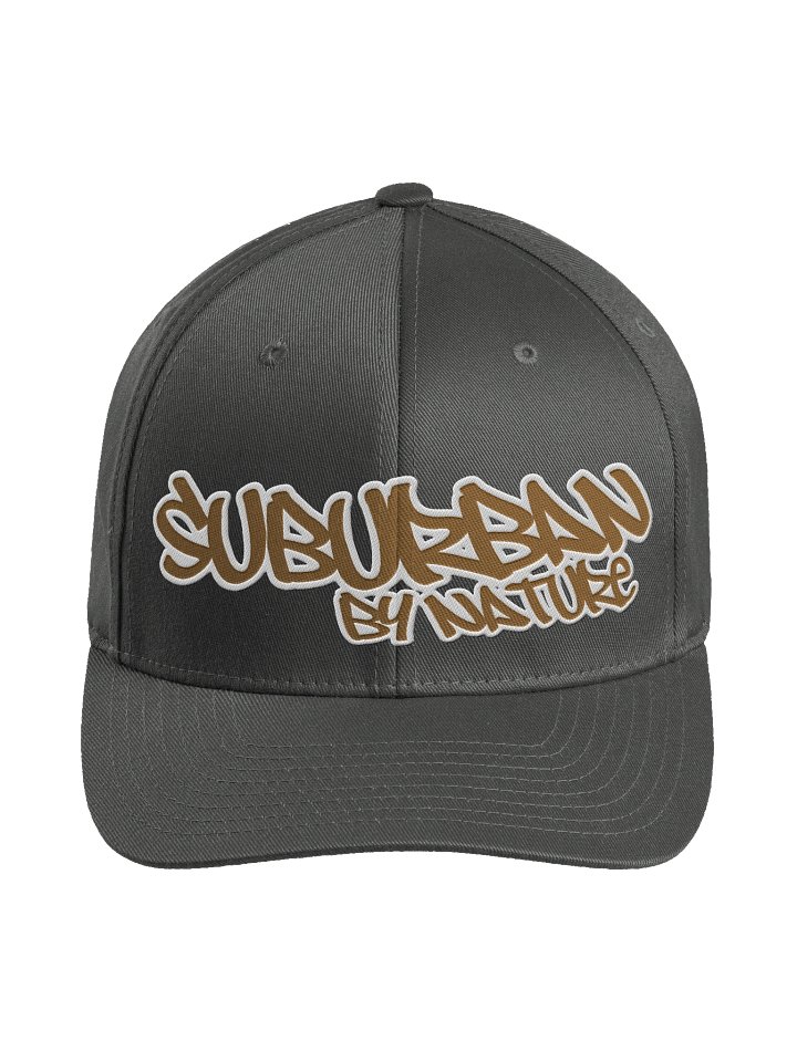 SUBRBAN BY NATURE - Ballcap Gray product image (1)