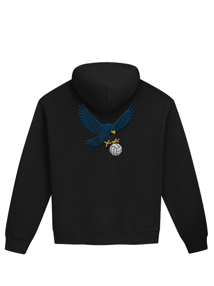 Falcons Embroidered Volleyball Hoodie product image (2)