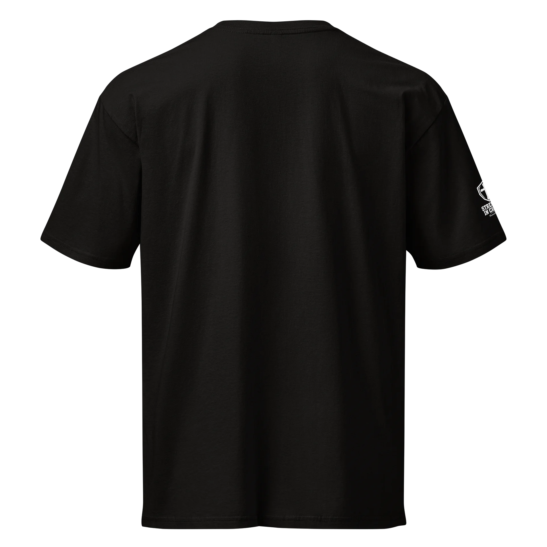 Manna&Iron Men’s Lightweight TShirt product image (4)
