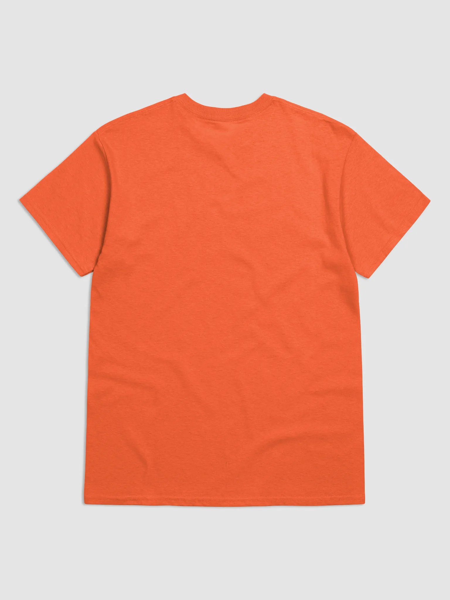 Women's Heavyweight T-Shirt GHFB0110 product image (4)