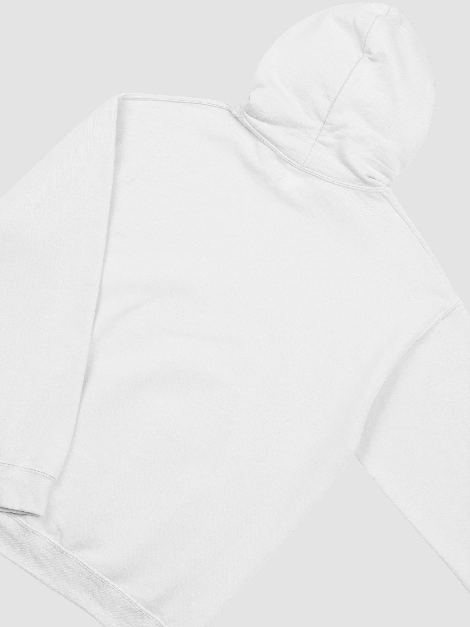 Spectra 2 Hoodie product image (4)
