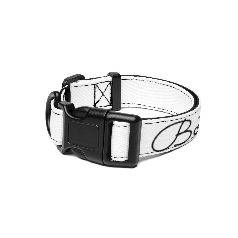 Bot Collar product image (1)