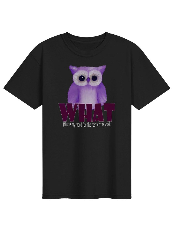 Men's Comfort Colors Garment-Dyed Heavyweight T-Shirt product image (1)