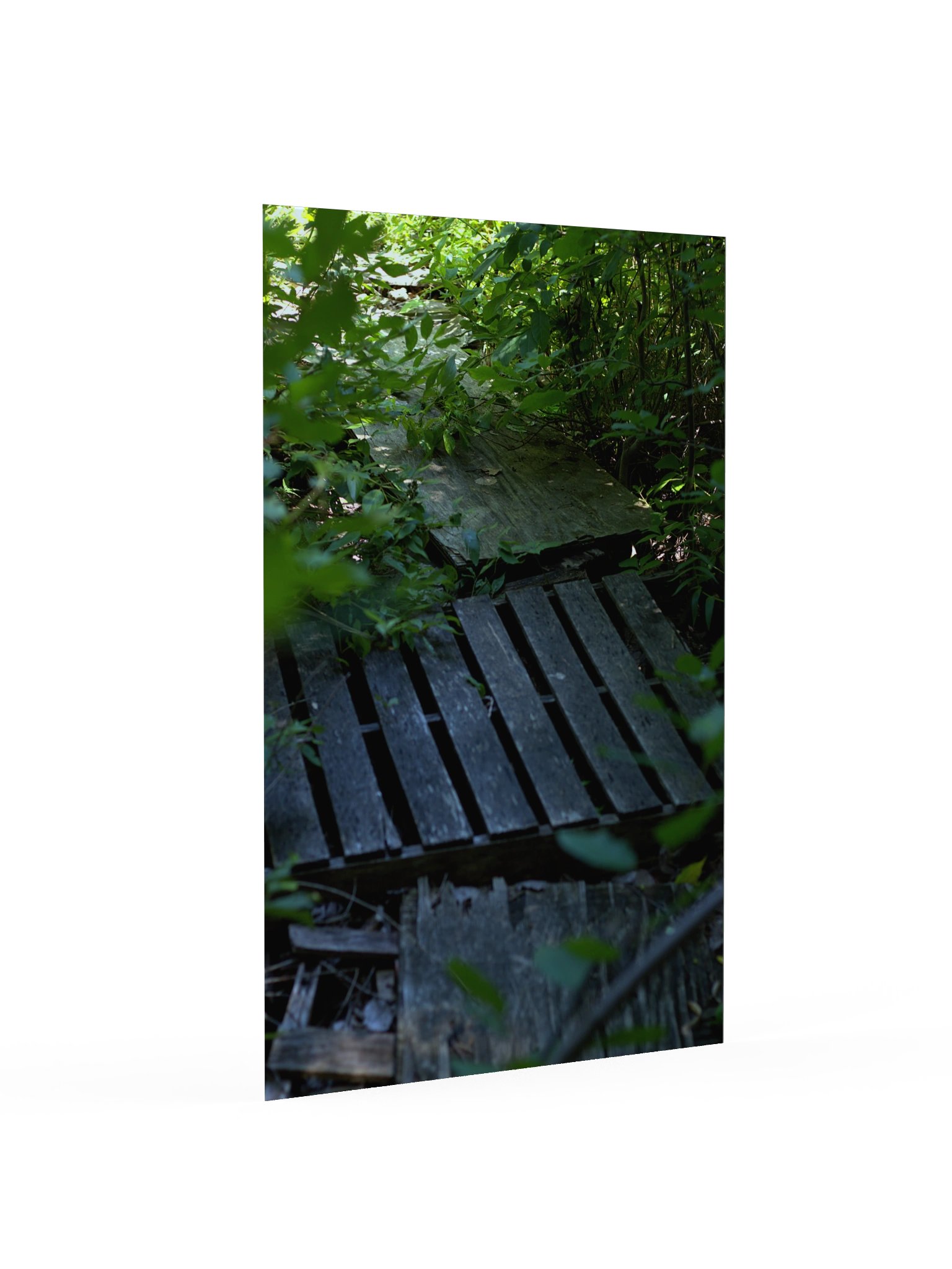 plank product image (2)