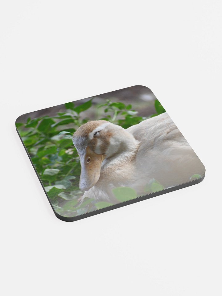 Quatie's Quackers Coaster product image (2)