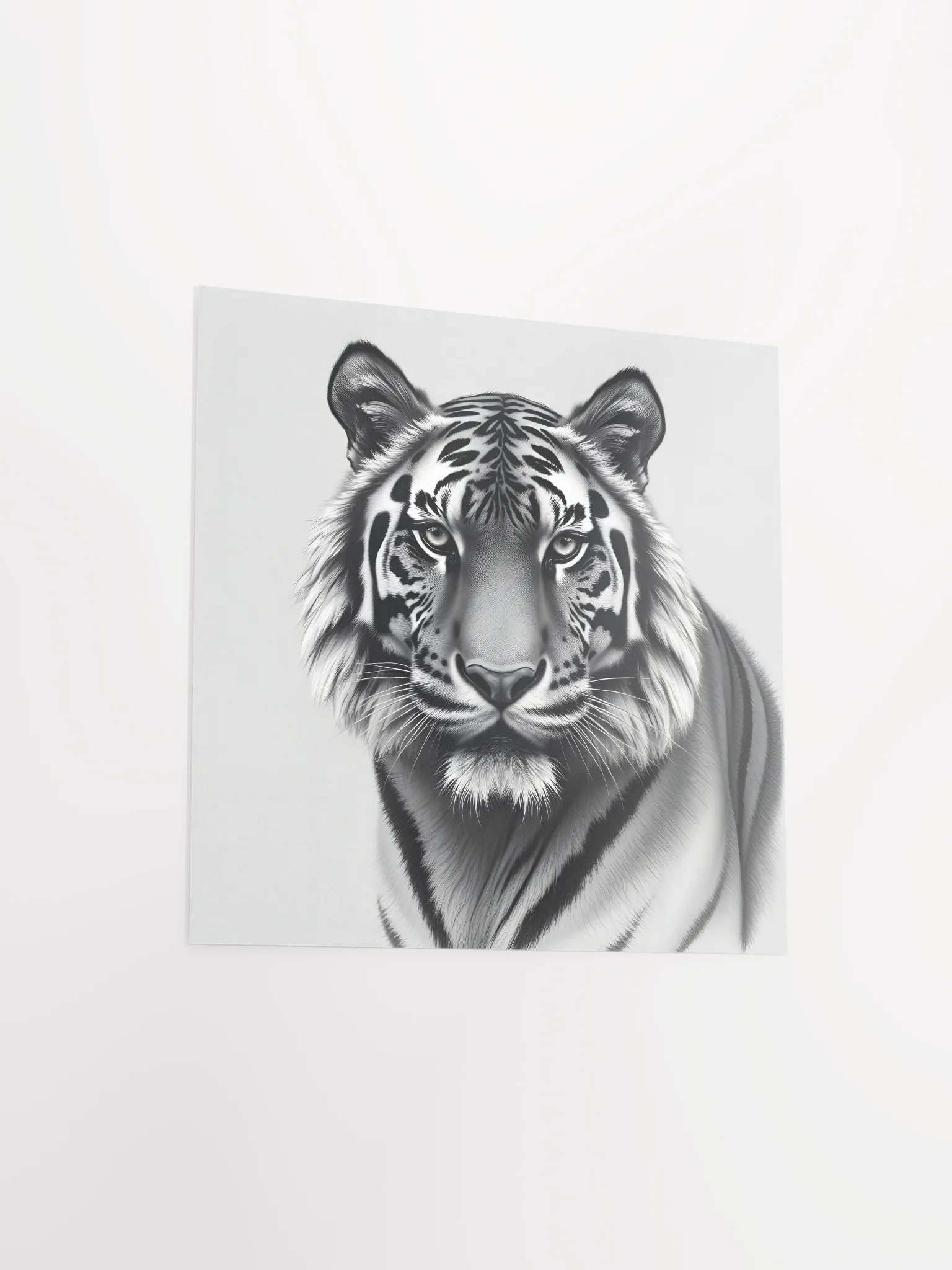 Tiger product image (13)