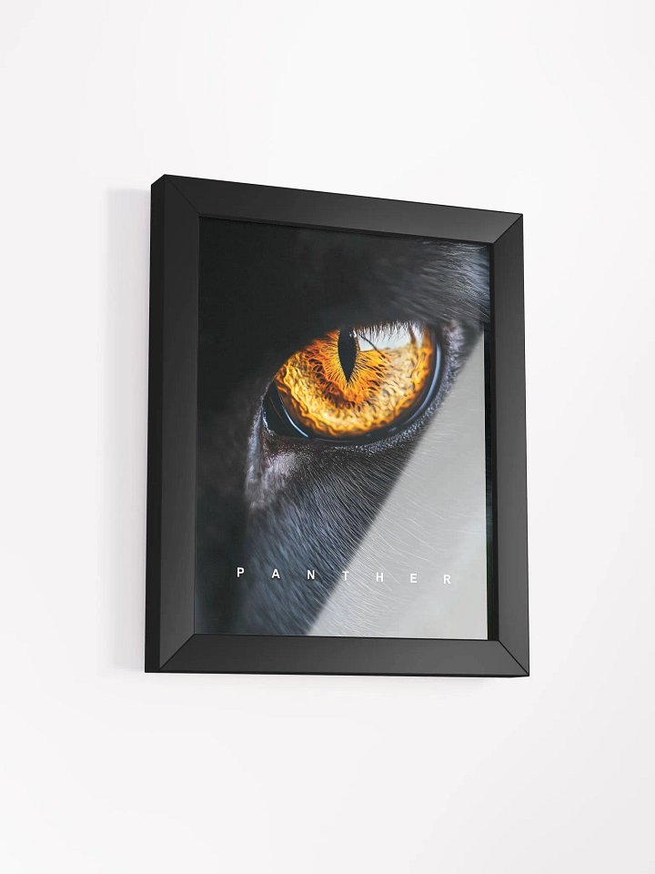 Panther's Eye Matte Poster product image (2)