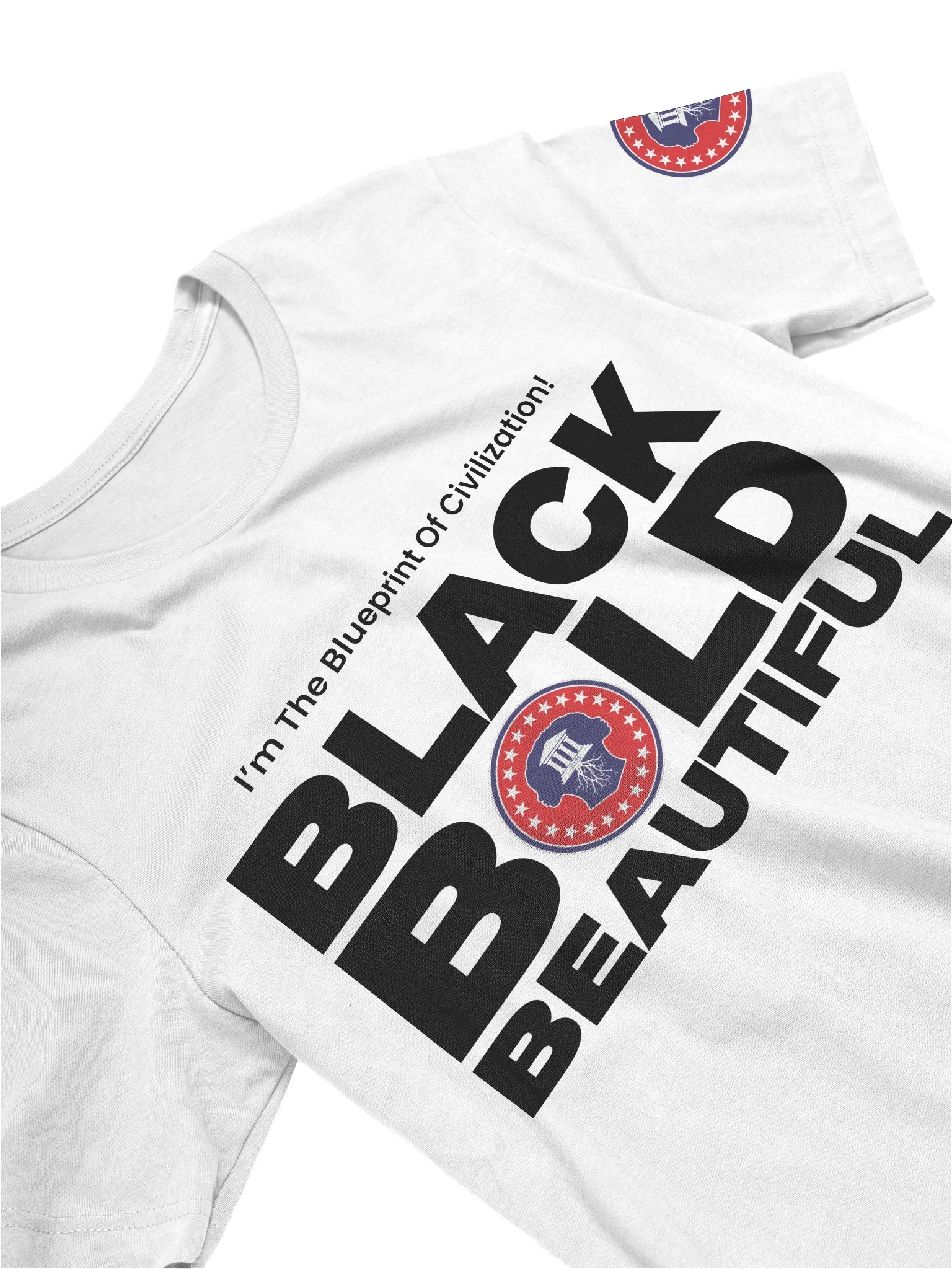 PA - Mother of Civilization T-Shirt product image (3)