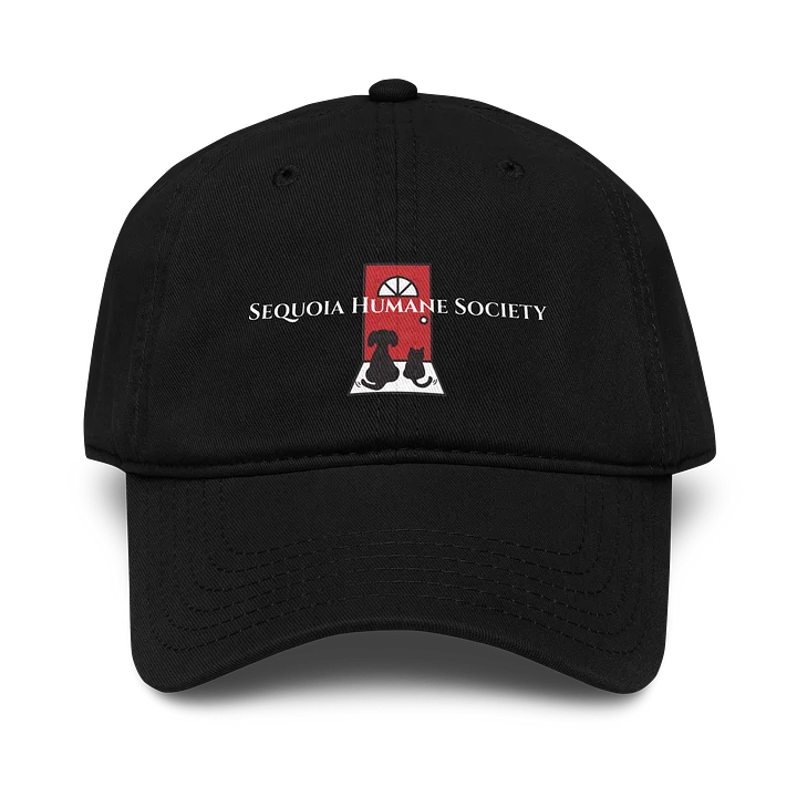 Black Baseball Cap product image (1)